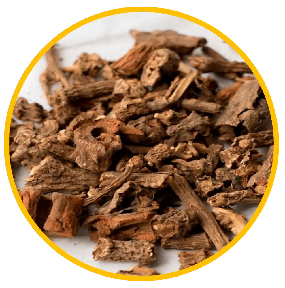 Extracto de raíz de zarzaparrilla presentado como ingrediente